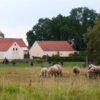 Farmářem na zkoušku - dvoudenní pobyt na statku + péče o zvířata - Image 2