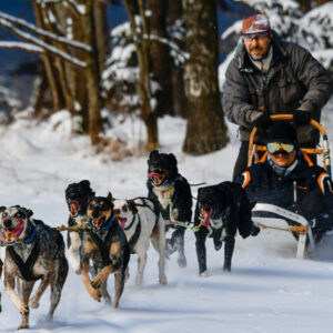 Mushing: Jízda na psím spřežení