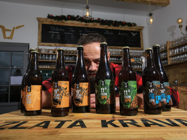 Domácí degustace piva s pivovarem Zlatá Kráva - balíček "Pivní speciály " + bedna 6 druhů piva