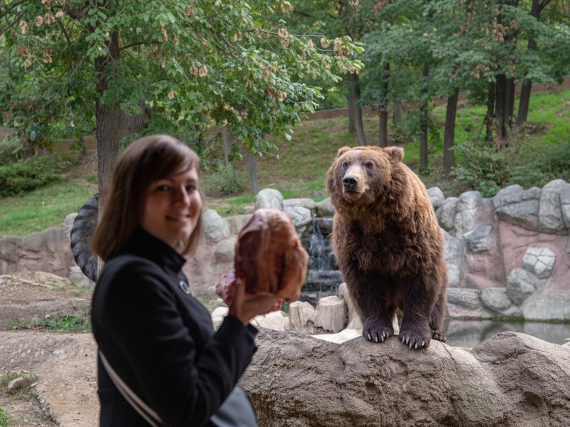 Setkání se šelmami