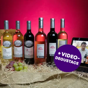 Dárkový balíček šesti druhů vín od Pierra Richarda a Gérarda Depardieu + videodegustace se someliérem