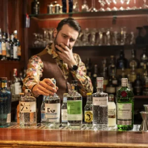 Degustace gin & tonic