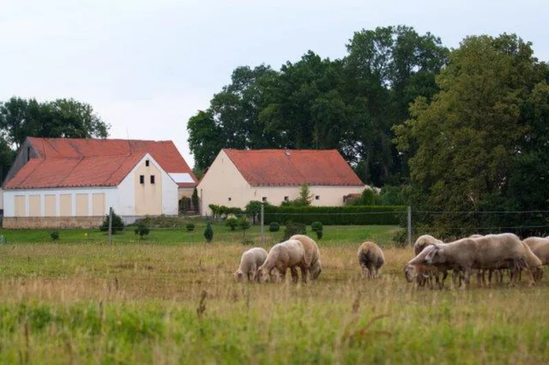 Farmářem na zkoušku - dvoudenní pobyt na statku + péče o zvířata - Obrázek 2