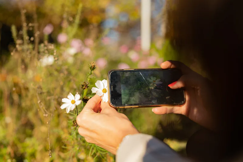 Kurz fotografování mobilem - Obrázek 3