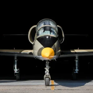 Let stíhačkou L-39 Albatros