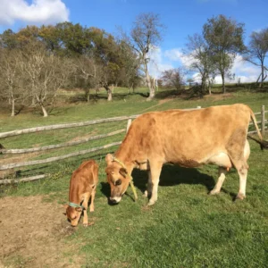 Na den farmářem na Farmě Košík