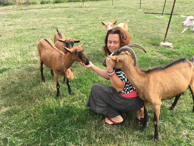 Na dva dny farmářem na Farmě Košík - Obrázek 3