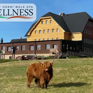 Pobyt u Sněžky s wellness a snídaní