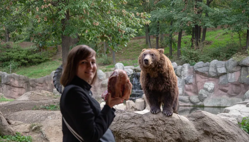 Setkání se šelmami