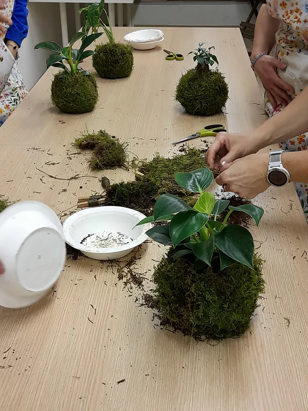 Tvoření z mechu: Mechový obraz nebo japonská kokedama - Obrázek 2