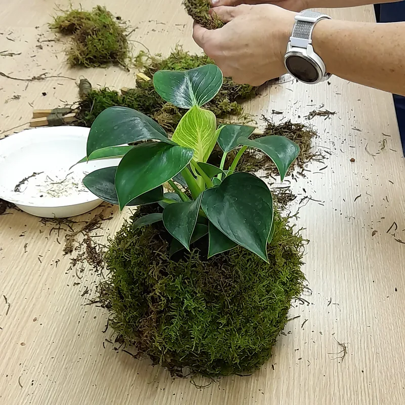 Tvoření z mechu: Mechový obraz nebo japonská kokedama - Obrázek 3